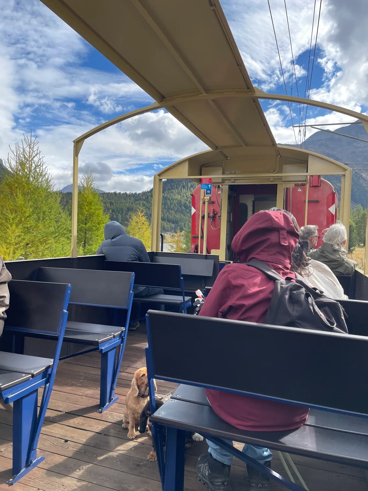 Open-air Bernina Line carriage with outdoor seats, safety railings and a dog onboard
